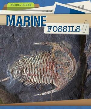 Marine Fossils by Heather Moore Niver