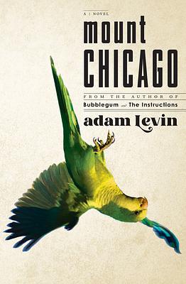 Mount Chicago: A Novel by Adam Levin