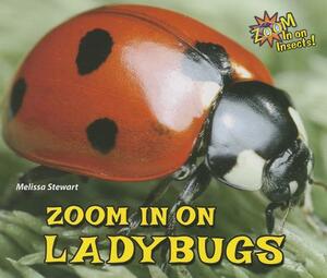 Zoom in on Ladybugs by Melissa Stewart