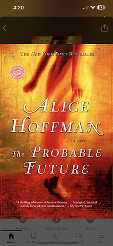 The Probable Future by Alice Hoffman