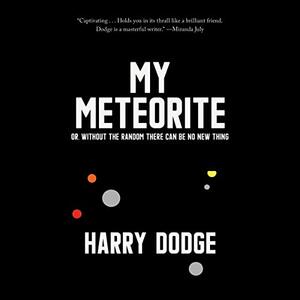 My Meteorite: Or, Without the Random There Can Be No New Thing by Harry Dodge