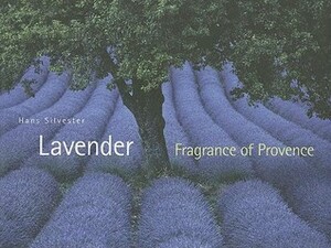 Lavender: Fragrance of Provence by Hans W. Silvester