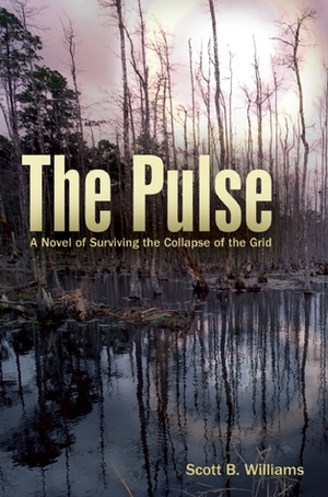 The Pulse by Scott B. Williams