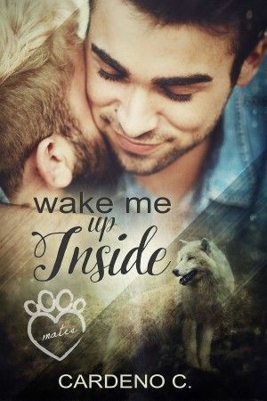 Wake Me Up Inside by Cardeno C.