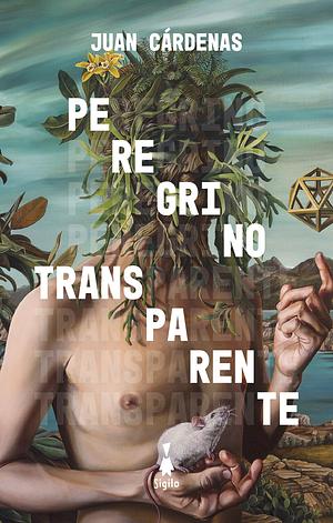 Peregrino transparente by Juan Cárdenas