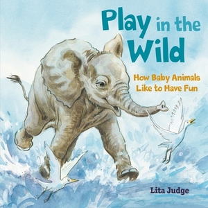 Play in the Wild: How Baby Animals Like to Have Fun by Lita Judge