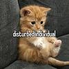 crudelovers's profile picture
