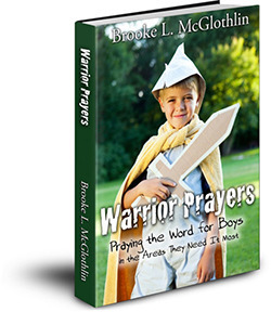 Warrior Prayers: Praying the Word for Boys in the Areas They Need it Most by Brooke L. McGlothlin, Brooke McGlothlin