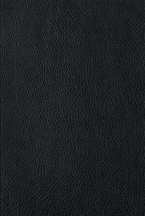 The Four Holy Gospels (Genuine Leather Over Board) by Anonymous