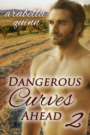 Dangerous Curves Ahead 2 by Arabella Quinn