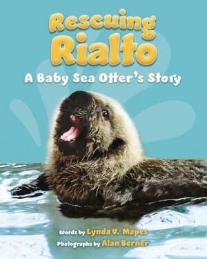 Rescuing Rialto: A Baby Sea Otter's Story by Lynda V. Mapes