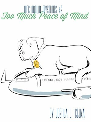Too Much Peace of Mind by Joshua Cejka