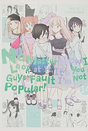 No Matter How I Look at It, It's You Guys' Fault I'm Not Popular!, Vol. 14 by Nico Tanigawa
