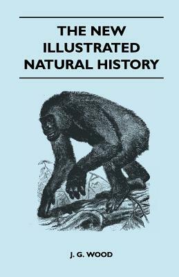 The New Illustrated Natural History by J. G. Wood
