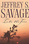 Into the Fire by David L. Walker, Jeffrey S. Savage