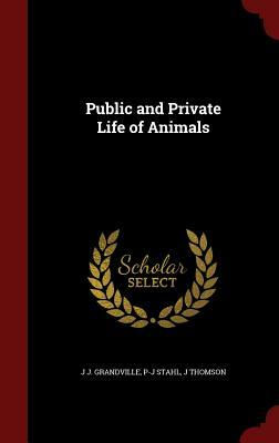Public and Private Life of Animals by J. J. Grandville, P-J Stahl, J. Thomson
