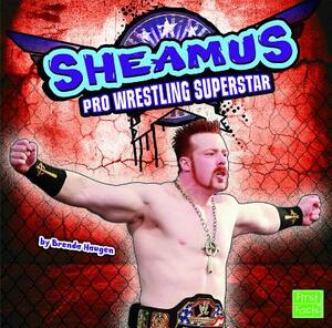 Sheamus by Brenda Haugen