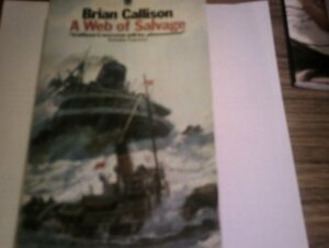 A Web Of Salvage by Brian Callison