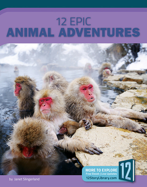 12 Epic Animal Adventures by Janet Slingerland