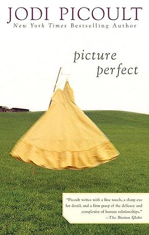 Picture Perfect by Jodi Picoult