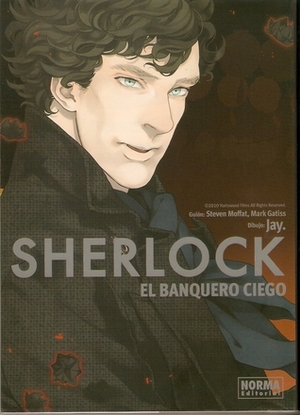 El banquero ciego by Steven Moffat, Sandra Nogués, Jay.