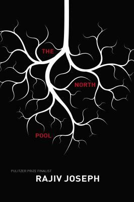 The North Pool by Rajiv Joseph