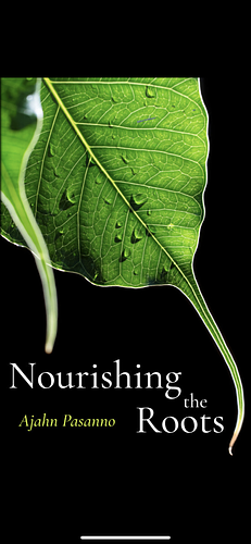 Nourishing the Roots by Ajahn Pasanno