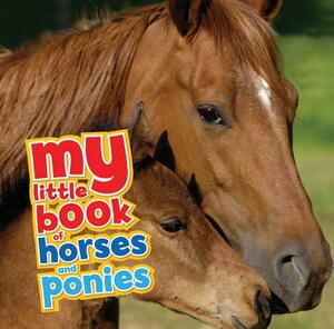 My Little Book of Horses and Ponies by Nicola Jane Swinney