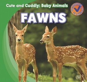 Fawns by Katie Kawa