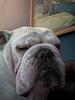 kati_armstrong's profile picture