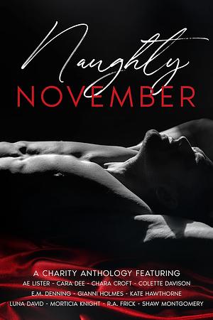 Naughty November: A Charity Anthology by Morticia Knight, AE Lister, Cara Dee, E.M. Denning, Luna David, R.A. Frick, Kate Hawthorne, Gianni Holmes, Shaw Montgomery, Colette Davison