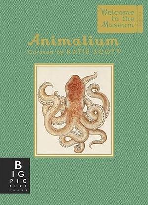 Animalium Mini Gift Edition by Jenny Broom, Katie Scott