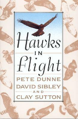 Hawks in Flight: The Flight Identification of North American Migrant Raptors by David Allen Sibley, Clay Sutton, Pete Dunne