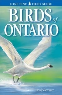 Birds of Ontario by Andy Bezener, Gary Ross, Ted Nordhagen (illustrator)