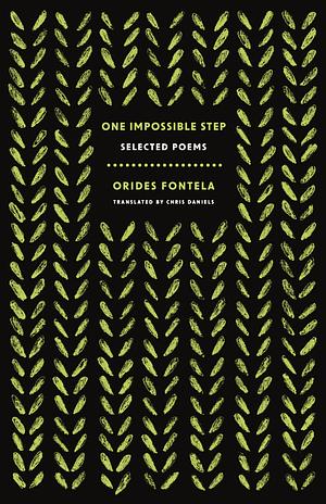 One Impossible Step by Orides Fontela