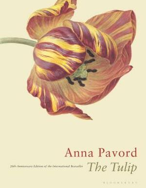 The Tulip: Twentieth Anniversary Edition by Anna Pavord