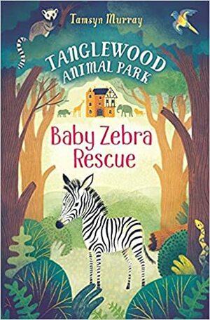 Baby Zebra Rescue by Tamsyn Murray