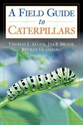 Caterpillars in the Field and Garden: A Field Guide to the Butterfly Caterpillars of North America by Thomas J. Allen, Jeffrey Glassberg, Jim P. Brock