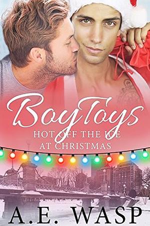 Boy Toys by A.E. Wasp