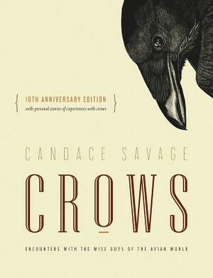 Crows: Encounters with the Wise Guys of the Avian World {10th Anniversary Edition} by Candace Savage