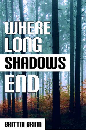 Where Long Shadows End (The Patch Project Series, #3) by Brittni Brinn