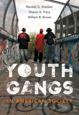 Youth Gangs in American Society by William B. Brown, Randall G. Shelden, Sharon K. Tracy