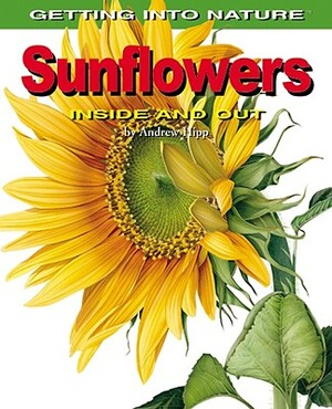 Sunflowers: Inside and Out by Andrew Hipp