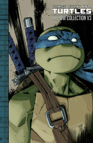 Teenage Mutant Ninja Turtles: The IDW Collection, Volume 3 by Bobby Curnow, Kevin Eastman, Mateus Santolouco, Dustin Weaver, Jason Ciaramella, Brian Lynch, Paul Allor, Ben Epstein, Dan Duncan, Erik Burnham, Ben Bates, Dave Wachter, Tom Waltz, Mike Costa