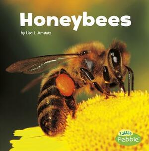 Honeybees by Lisa J. Amstutz