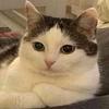 babybloggs's profile picture