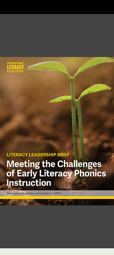 Meeting the Challenges of Early Literacy Phonics Instruction  by Wiley Blevins
