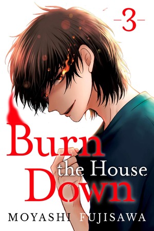 Burn the House Down, Vol. 3 by Moyashi Fujisawa