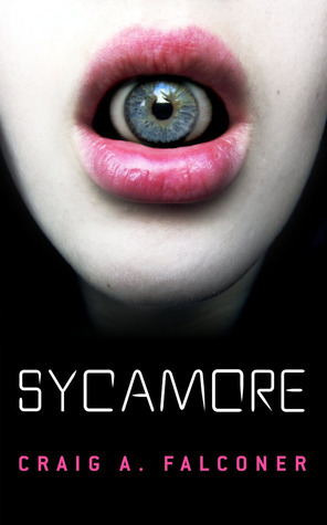 Sycamore by Craig A. Falconer