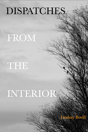 Dispatches From The Interior by Lindsay Bovill